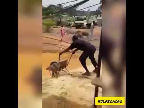 sexta feira sua linda