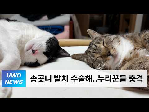 칠봉지 26년 3월 이슈 총집합