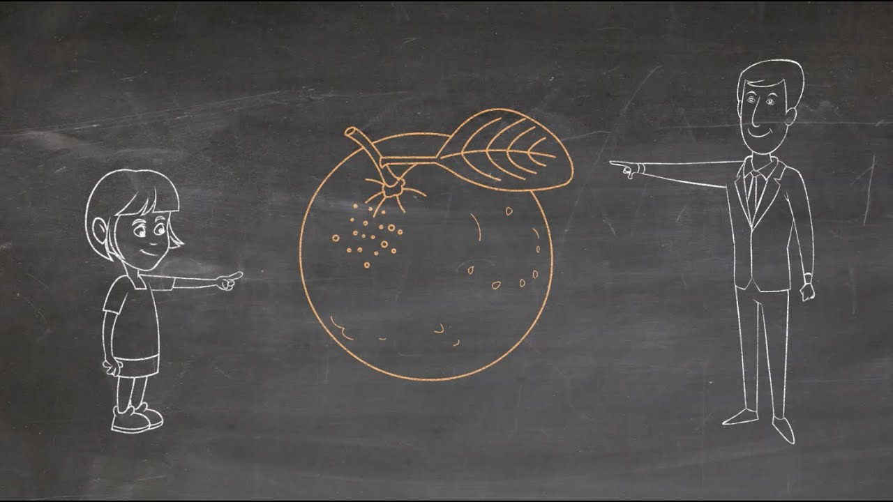 Integrative vs. Distributive Negotiation - The Orange Juice Story (Doodle Video)
