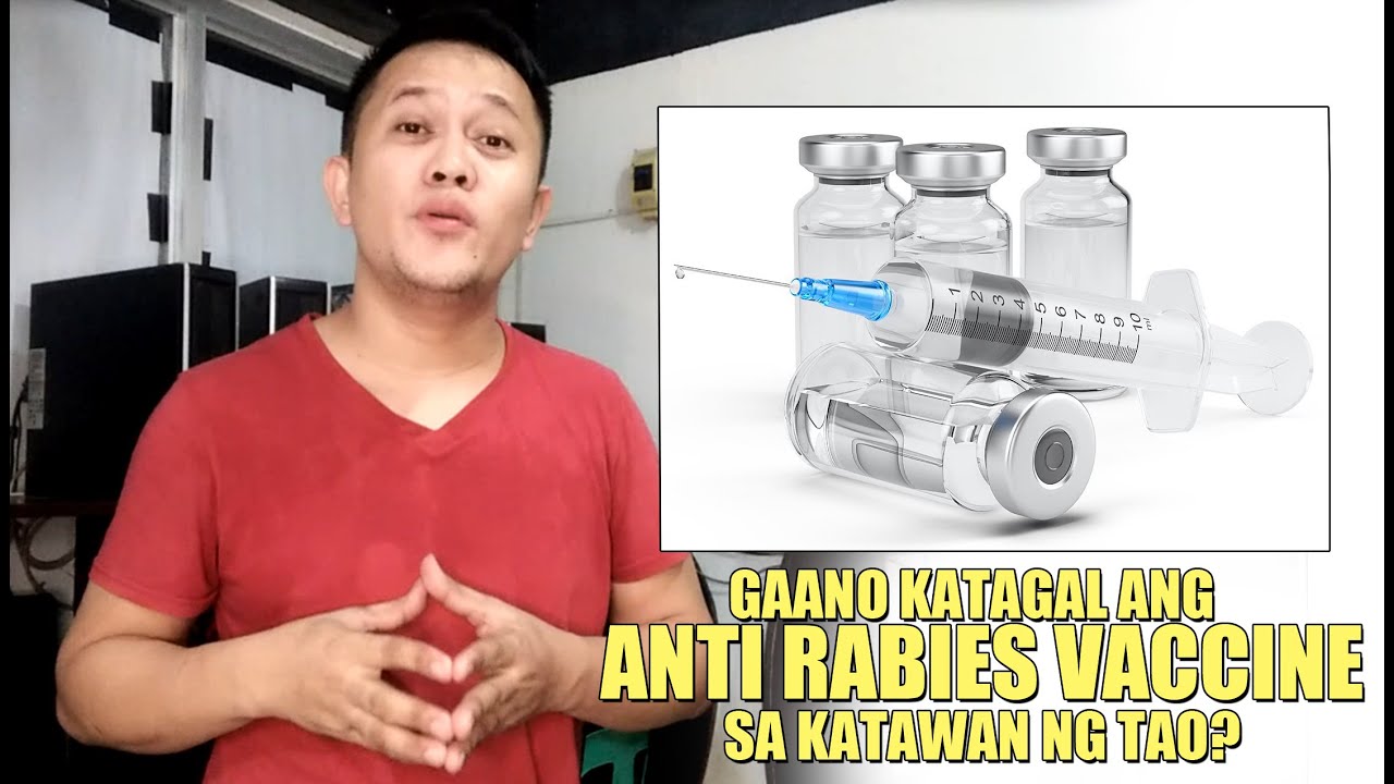 Putar video GAANO KATAGAL ANG ISANG ANTI RABIES VACCINE SA KATAWAN NG TAO sekarang GAANO KATAGAL ANG ISANG ANTI RABIES VACCINE SA KATAWAN NG TAO