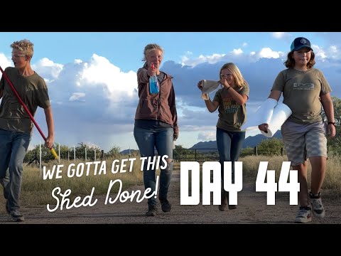 Get This Shed Done - Day 44 - Cleaning bottle bricks, windows & more