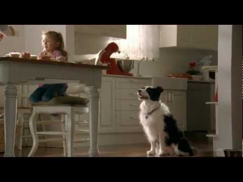 Cupcake Day for the RSPCA - 2012