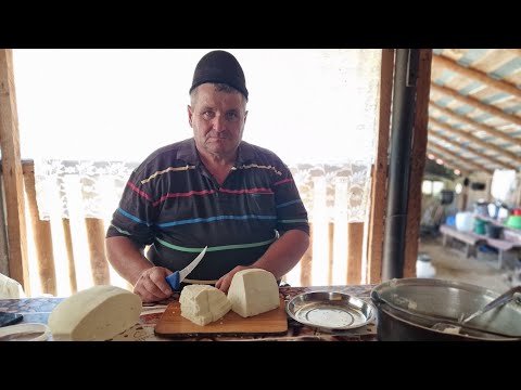 BRÂNZA TELEMEA DE OAIE FĂCUTĂ CHIAR ÎN MUNTE DE NEA ION HOBICEAN
