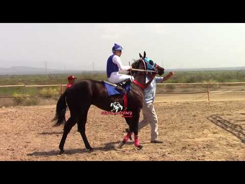 LA SPLASH  VS  EL DIABLO