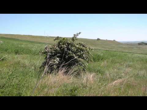 Sat Traian com. Zanesti Dealul Fantanilor