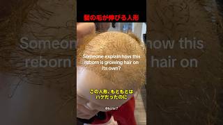 髪の毛が伸びる人形