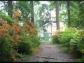 Saving Grace Hillsong United Wmv