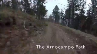Arnocampo Path - MTB Sila