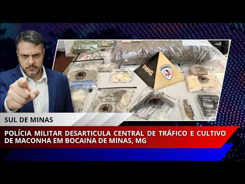 Polícia Militar desarticula central de tráfico e cultivo de maconha em Bocaina de Minas, MG