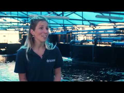 Old Mutual Two Oceans Marathon   Bob the Turtle’s journey