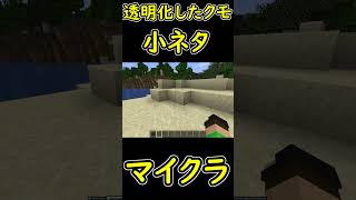 滅多に見れない激レアMOB！透明化したクモとは？　小ネタ　【マイクラ/マインクラフト】 #shorts