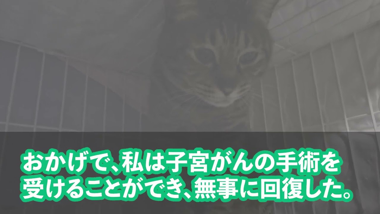 【スカッとする話】ガンの宣告に夫の不貞の事実・・・災難続きの挙句事業も失敗・・・私はその窮地を脱せるのか！？