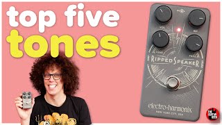 Video thumbnail for Ripped Speaker Fuzz Pedal | TOP FIVE TONES | EHX by TheGuitarGeek