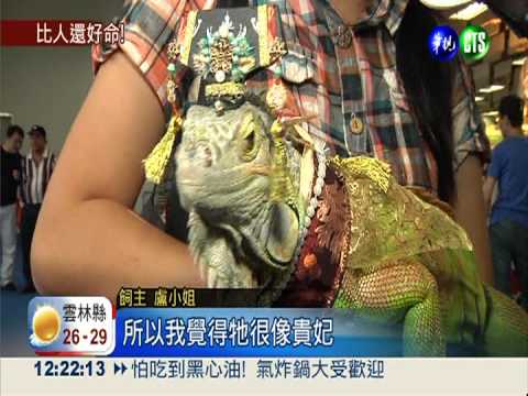 比人還享受... 寵物展"豐衣足食"!