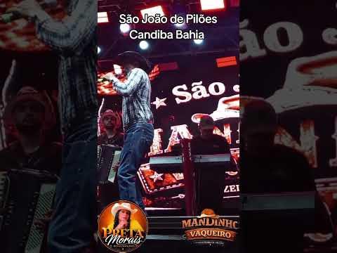 São João de Pilões Candiba Bahia show com @MandinhoVaqueiro #youtubeshorts #saojoao #forrozão