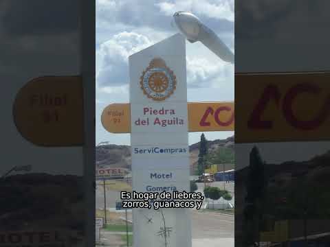 Piedra del Águila, Provincia de Neuquén ¿La conocías? #shorts