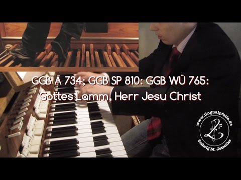 GGB WÜ 765: Gottes Lamm, Herr Jesu Christ mit ausgestreckten Armen (Palmsonntag 2017)