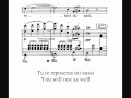 F. Liszt, Über allen Gipfeln ist Ruh, S. 306 (1848)