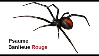 Banlieue Rouge - Psaume