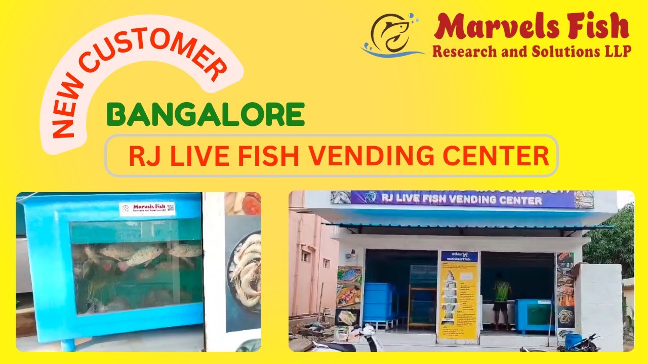 Fish Tank Setup in Bangalore