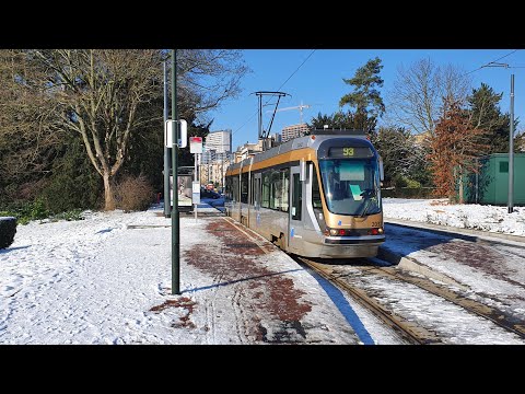 🇧🇪🚊9️⃣3️⃣Cab Ride - STIB-BRUSSELS - Line 93 - Stade/Stadion to Legrand. January 2024.