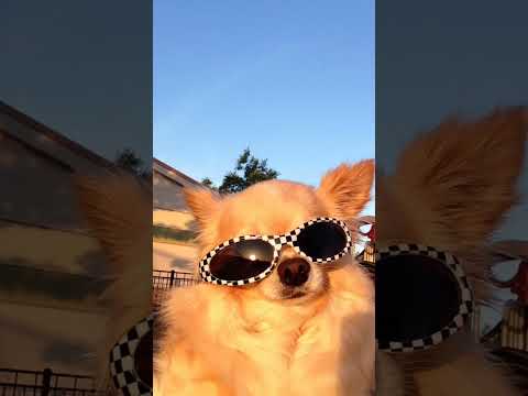 Then And Now🤣 #thenandnow