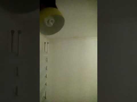 Duda beat - meu jeito de amar cover