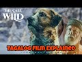 ANG ASO NA PALAGING TUMUTULONG SA IBA │ Tagalog Movie Recap - Tagalog Film Explained