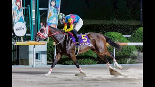 【佐賀競馬】第22回 ロータスクラウン賞（2025.10.26）