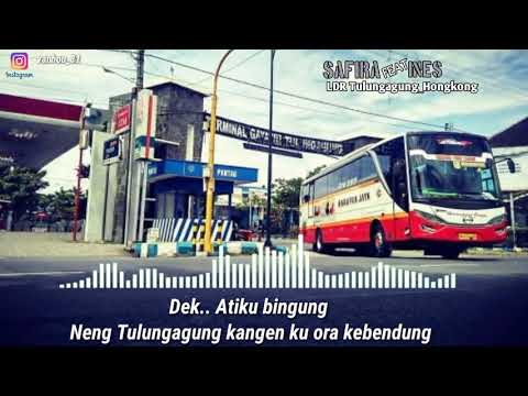 spektrum safira inema LDR Tulungagung Hongkong