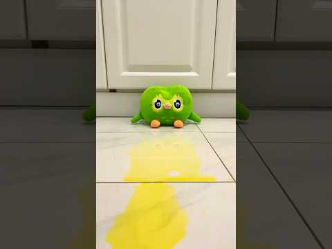 Unexpected Duo Owl Funny IRL Chaos Moments Going Viral Now