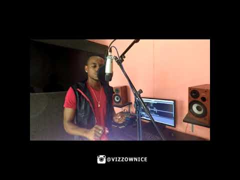 Vizzow Nice- Guilhermina- Mr. Bow (Cover)