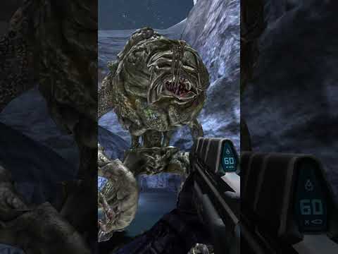 New Halo Flood Forms