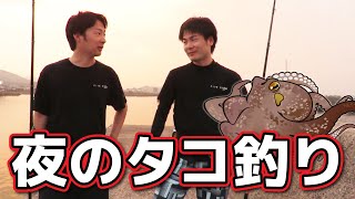【釣り】夜のタコ釣り