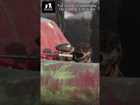 Now You See Me, Now You Dont!