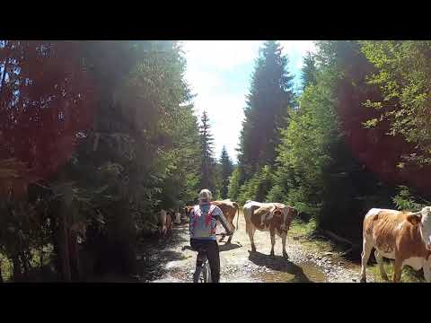 MTB Apuseni Belis - Marisel - Pasul Ursoaia - Lacul Fantanele Belis