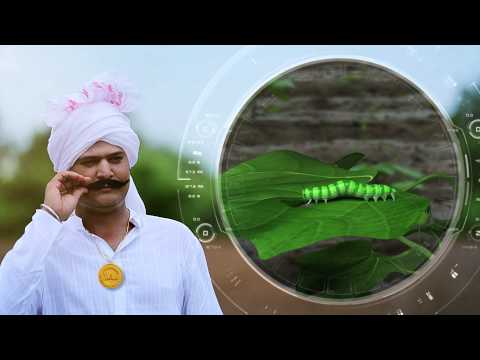 Liquid organic sikko orgi-555, packaging type : bottle