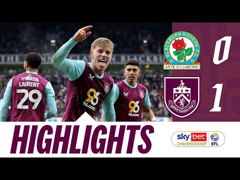 bg-highlight