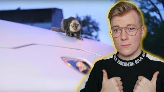 Ohrwurm 👂🐛 DARDAN - WAKKA FLOCKA FLAME prod. NOIZMOBB Reaction/Reaktion