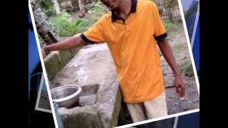 NopetsAllowed-Makapakalma