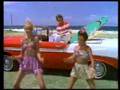 Surfin Reggae
