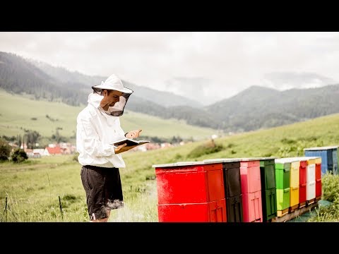 , title : 'Mladí včelári z Liptova prezradili ako sa chovajú včely 🐝 , a prečo je slovenský med najkvalitnejší'