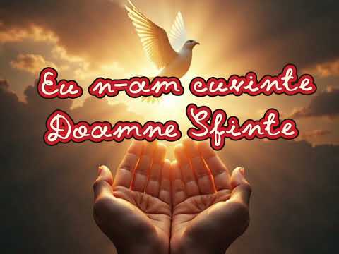 EU N-AM CUVINTE DOAMNE SFINTE 