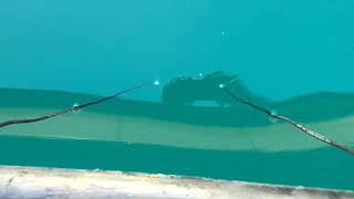 The Invisible Soundtrack –by Nadim Mishlawi