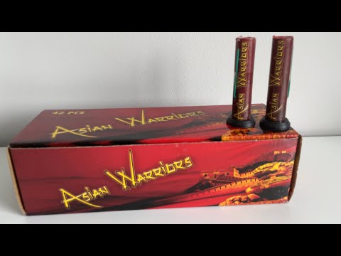 Salon Roger - Asian Warriors 