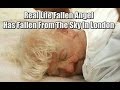 Real Life Fallen Angel Has Fallen From The Sky In ...