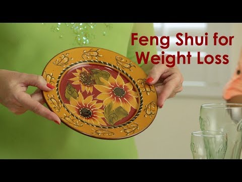 download lagu mp3 mp4 Feng Shui Diet, download lagu Feng Shui Diet gratis, unduh video klip Feng Shui Diet
