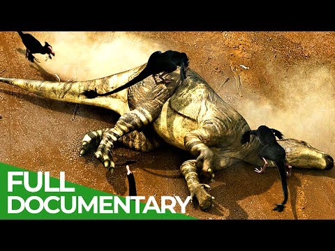 Dinosaurs: On the Trail of Prehistory