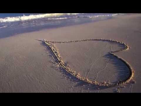 My Heart Stood Still