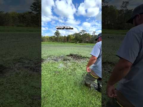 The Swamp Is Moving… #louisiana #fishing #cajun